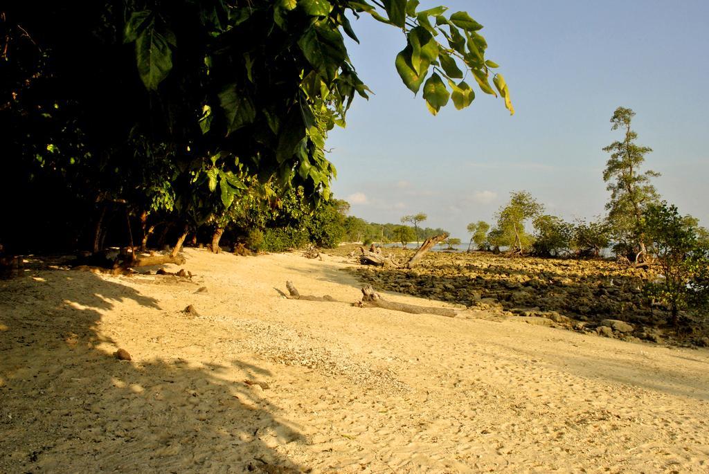 Sea Shell Neil Ξενοδοχείο Lakshmanpur Εξωτερικό φωτογραφία