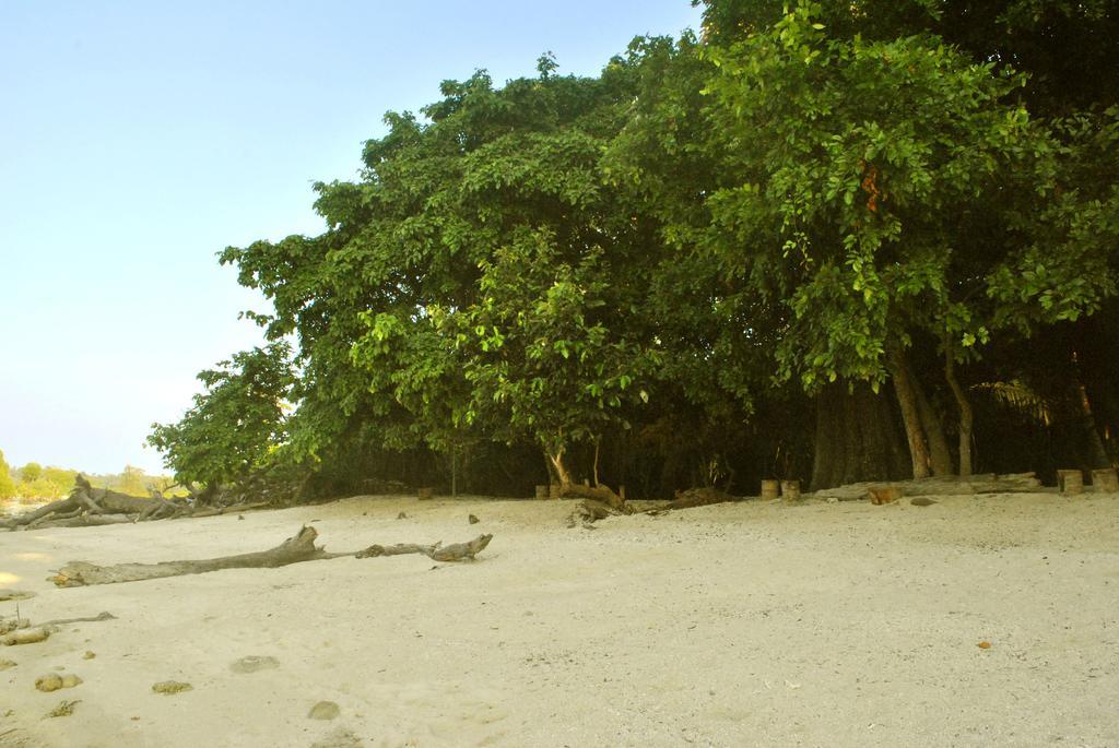 Sea Shell Neil Ξενοδοχείο Lakshmanpur Εξωτερικό φωτογραφία